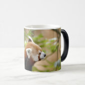 Mug Magique red-panda-035 (Devant droit)