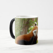 Mug Magique red-panda-035 (Devant gauche)