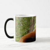 Mug Magique red-panda-035 (Gauche)