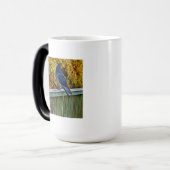 Mug Magique Reginald Pigeon (Devant gauche)