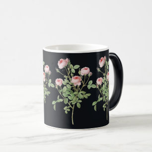 Mug Magique Rose Rose Fleur Jardin Beauté