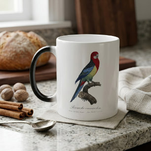 Mug Magique Rosella orientale ou Perruche à tête pâle Platycer