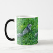 Mug Magique Sciurini gris (Gauche)