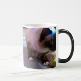 Mug Magique Surprise ! CatM