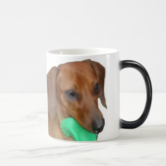 Mug Magique Teckel miniature (Droite)