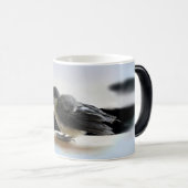 Mug Magique Tidi my Bird le Parus Major (Devant droit)