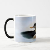 Mug Magique Tidi my Bird le Parus Major (Gauche)