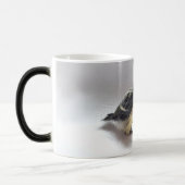 Mug Magique Tidi my Bird le Parus Major (Gauche)