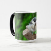 Mug Magique Tidi my Bird le Parus Major (Devant gauche)
