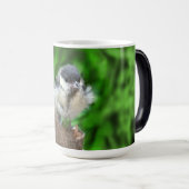 Mug Magique Tidi my Bird le Parus Major (Devant droit)
