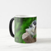 Mug Magique Tidi my Bird le Parus Major (Devant gauche)
