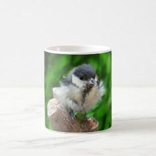 Mug Magique Tidi my Bird le Parus Major