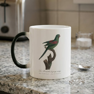 Mug Magique Touï à gorge orange, Brotogeris jugularis