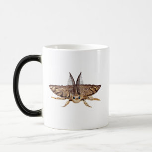 Mug Magique Tumée tzigane, Lymantria dispar Zoologique
