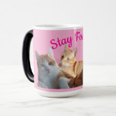 Mug Magique Valentine's Cats Photo (Devant gauche)