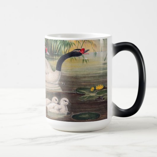 Mug Magique Vintage Wild Black-Necked Swan  (Droite)