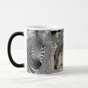 Mug Magique Zebra Safari Mignon Africain Élégant Rayures