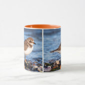 Mug Magnifique oiseau de rivage semi-palmé (Centre)