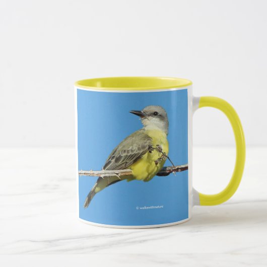 Mug Magnifique Tropical Kingbird sur Blackberry Branch (Droite)