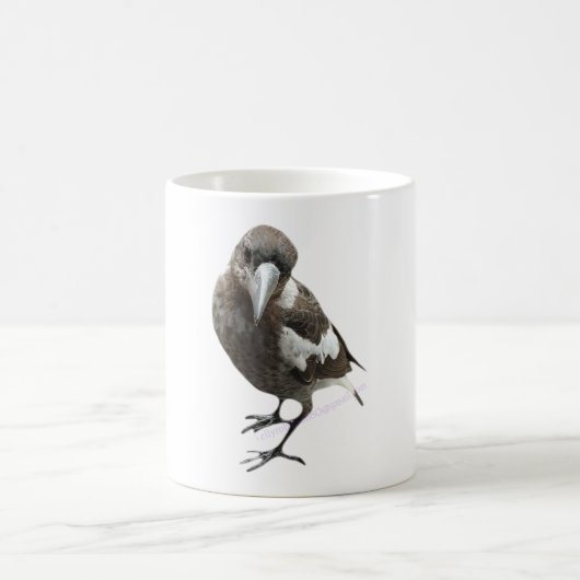 Mug Magpie (Centre)