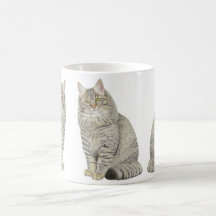 Maine Coon