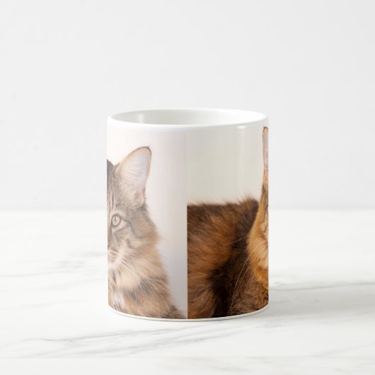 Mug Maine Coon Kitty (Centre)