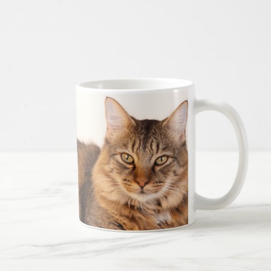 Mug Maine Coon Kitty (Droite)