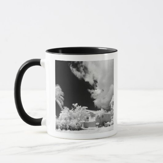 Mug Maison des Keys de Floride et ses palmiers, États- (Gauche)