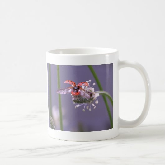 Mug Maison partie de mouche (Droite)