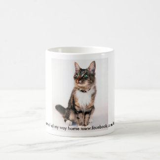 Mug Maiw