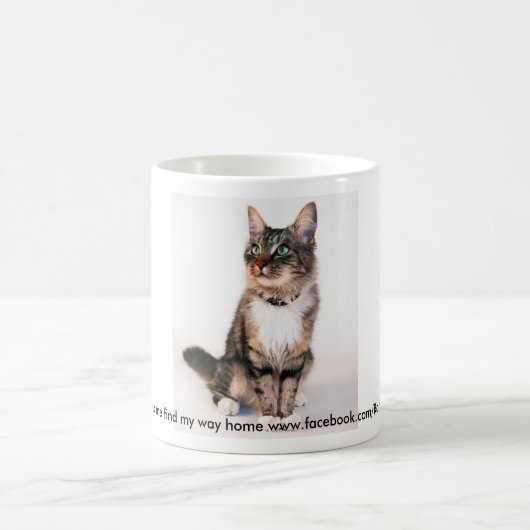 Mug Maiw (Centre)