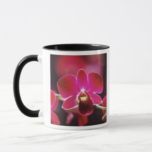 Mug Malaisie, Orchidée (Gauche)