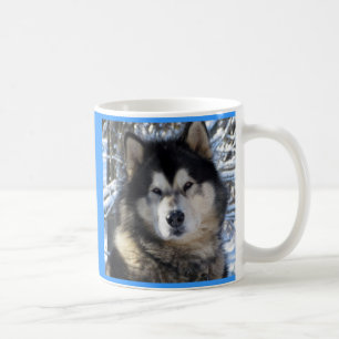 Mug Malamute d'Alaska