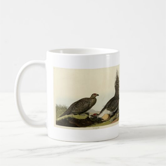Mug (Male Fowl) des Plaines Audubon Birds of America (Gauche)