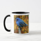 Mug Male Indigo Bunting, Passerina cyanea (Gauche)