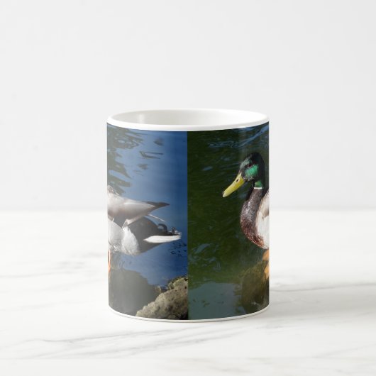 Mug Mallard Duck (Centre)