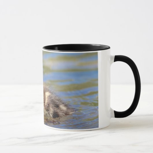 Mug Mallard Duckling (Droite)