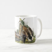 Mug Mallard, John Audubon (Devant droit)