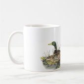 Mug Mallard, John Audubon (Gauche)