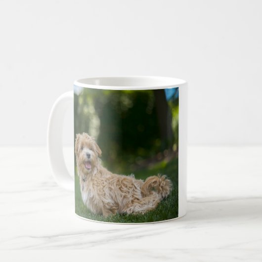 Mug Maltipoo (Devant gauche)
