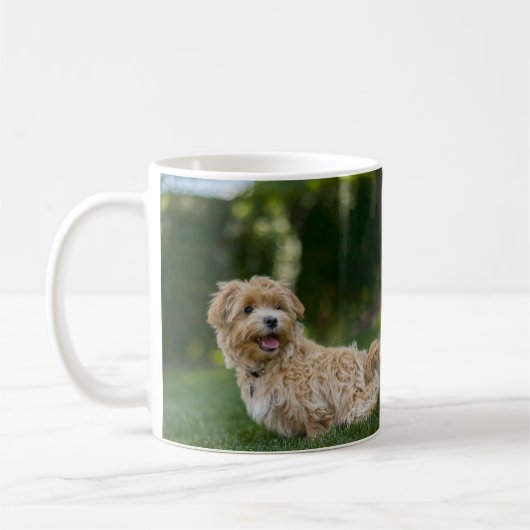 Mug Maltipoo (Gauche)