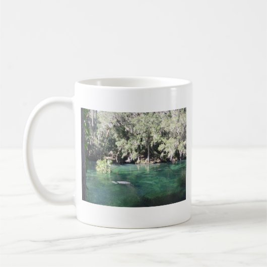 Mug Manatees à Blue Springs en Floride (Gauche)