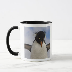 Mug Manchot de Hopkins Eudyptes chrysocome