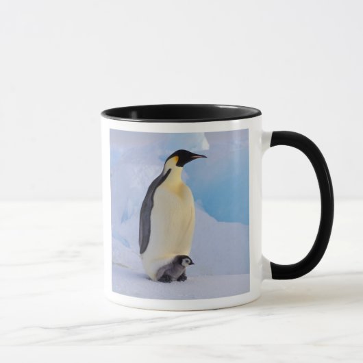 Mug Manchot empereur | Aptenodytes (Droite)