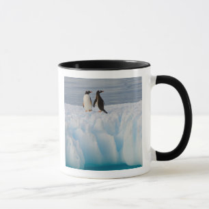 Mug manchot papou, Pygoscelis Papua, sur la glace glac