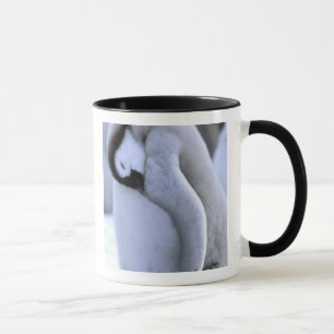 Mug Manchot Péninsule antarctique, mer de Weddell