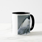 Mug Manchots à collier, Pygoscelis antarctica), (Devant droit)