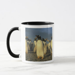 Mug Manchots papouas, (Pygoscelis papua), Falkland