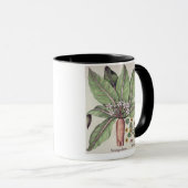 Mug Mandragore d'automne, du "Hortus Eystettensis" par (Devant droit)