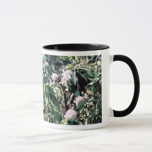 Mug Manguier
